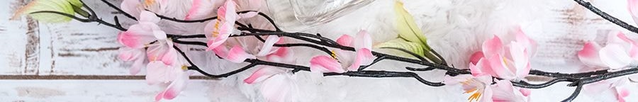 日本TAMANOHADA玉肌 弱酸性溫和潔淨舒緩沐浴乳 植物精油保濕滋潤沐浴露 #002麝香 540ml