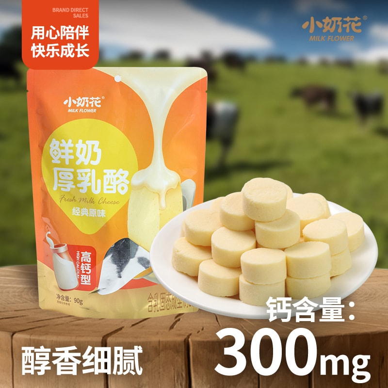 中国 其嘉 小奶花 高钙型 鲜奶 厚乳酪 原味 90 克 高钙 奶香浓郁 营养软酥 独立包装 固体酸奶块