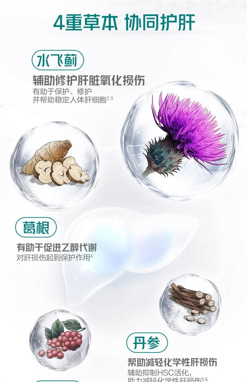 【中國直郵】 湯臣倍健 護肝奶薊草水飛薊丹參片解熬夜常備酒健肝 120片