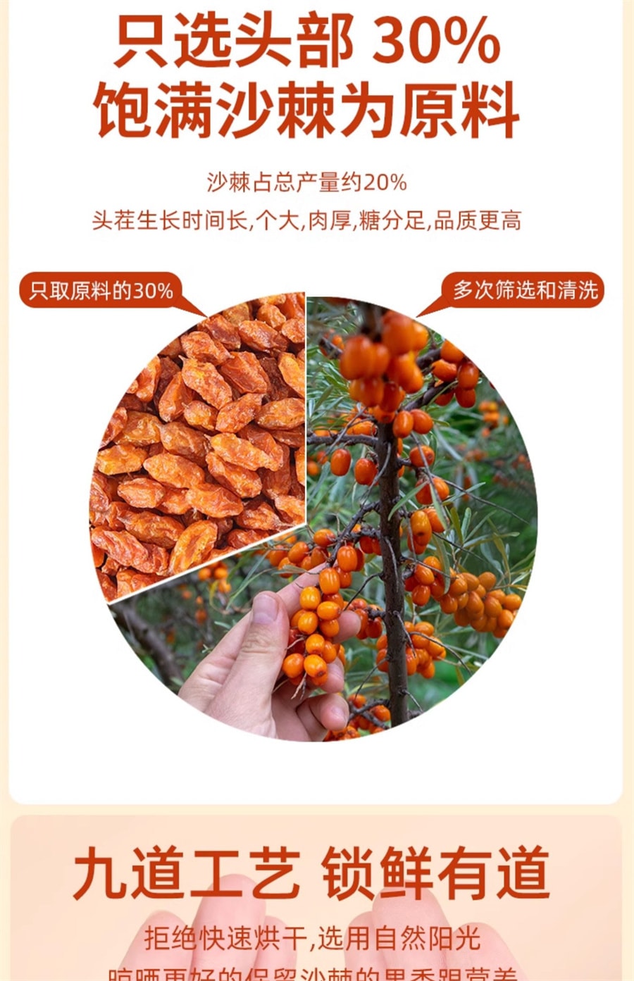 【中國直郵】岷農人 沙棘果250g正品新疆沙棘乾果沙棘茶野生顆粒