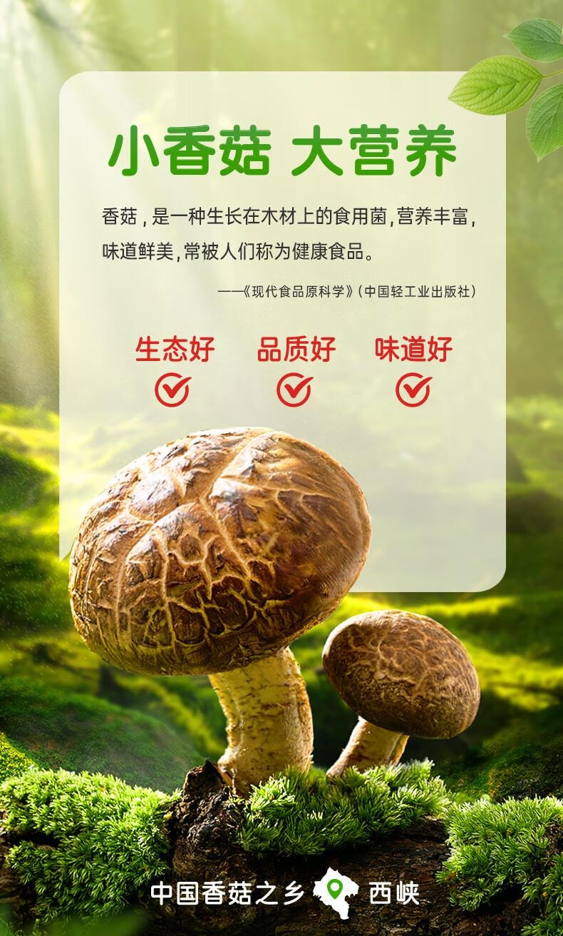 【中國直郵】 仲景 香菇醬 辣味 拌飯拌麵醬 夾饃暴下飯菜蘑菇炒飯 調味醬料 230g*2