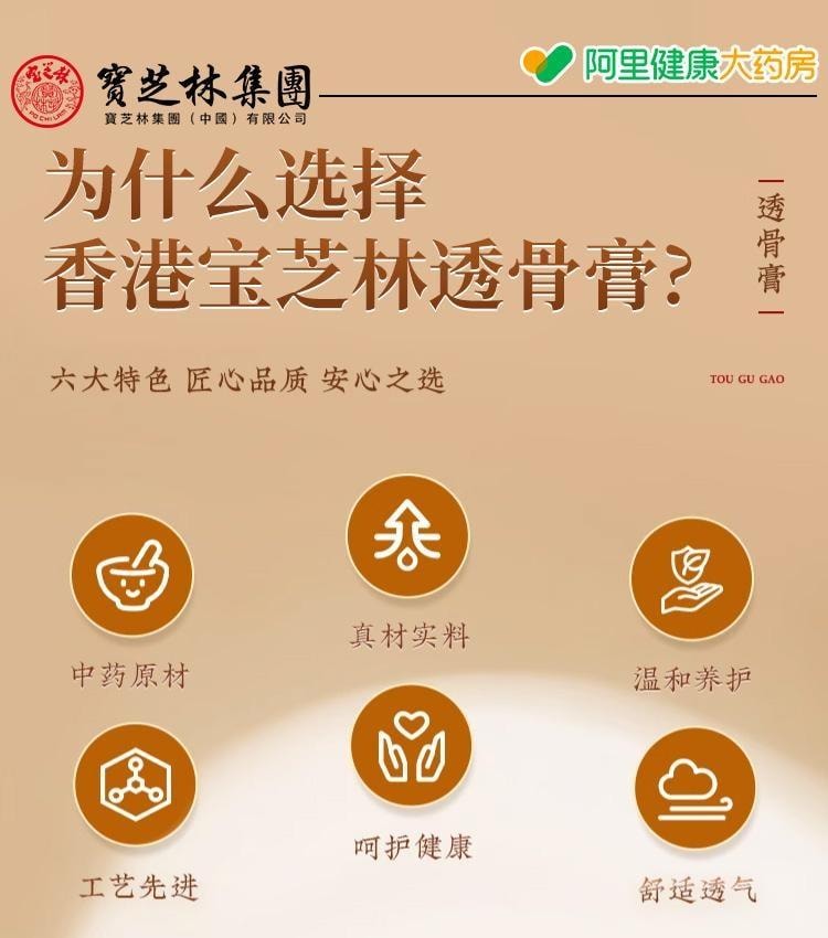 【中國直郵】 寶芝林 透骨膏 祛風除濕 舒筋通絡 消腫止痛 活血養血 舒適溫熱 全身適用 30g/盒