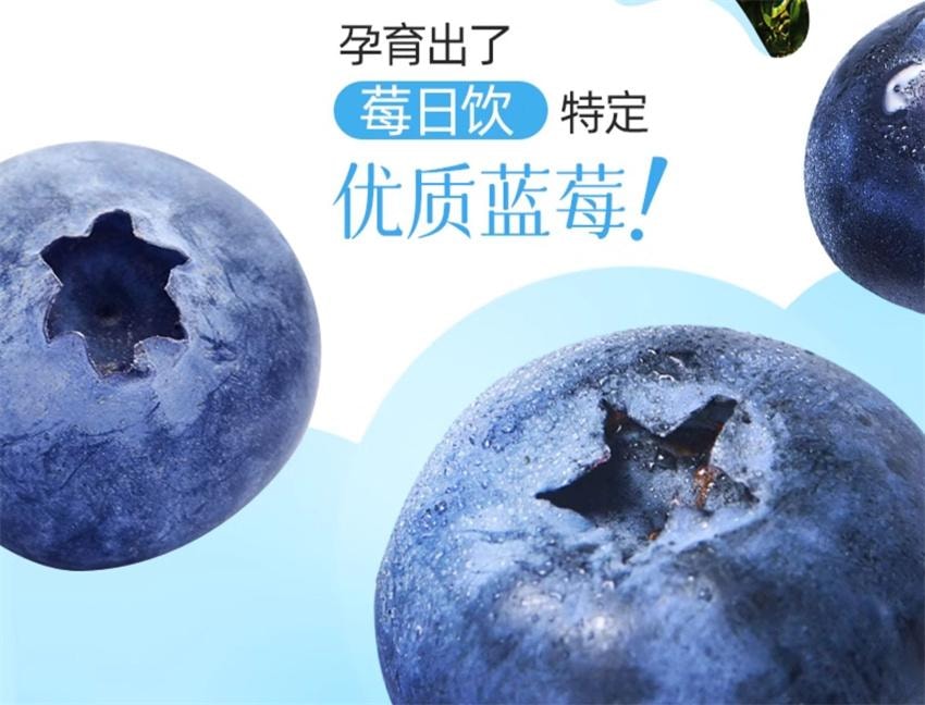 【中國直郵】 莓日飲 100%藍莓原汁 NFC藍莓汁花青素果汁非濃縮原漿飲料 30ml*10袋/盒