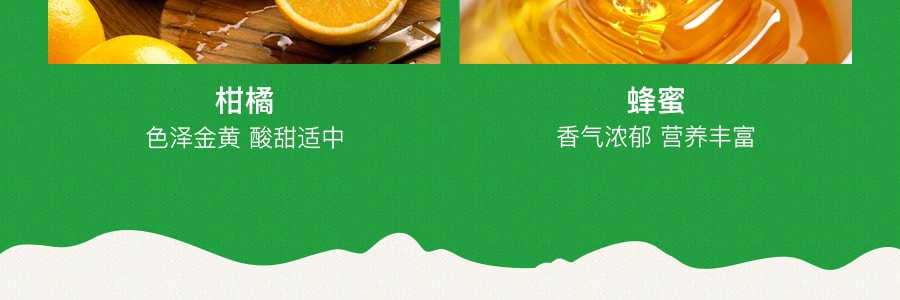 韩国DAMTUH丹特 蜂蜜柑橘茶 770g