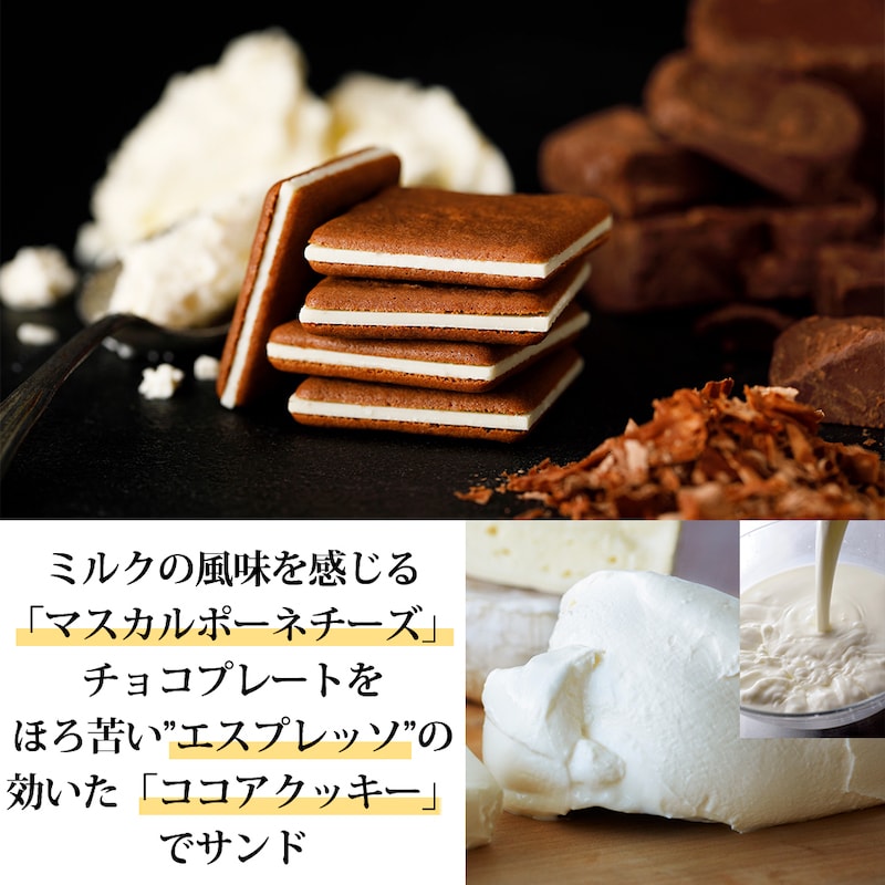 【日本直邮】TOKYO MILK CHEESE FACTORY 东京牛奶芝士工厂 巧克力马斯卡彭干酪饼干 10枚装
