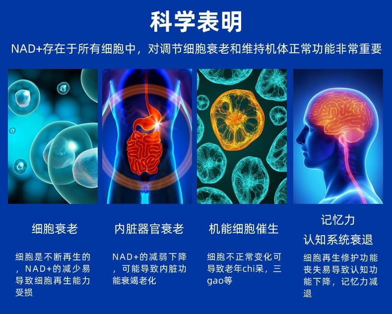 美國 AGELESS 抗衰逆齡美容 NMN 煙鹼醯胺單核苷酸nad+補充劑 500mg 30粒