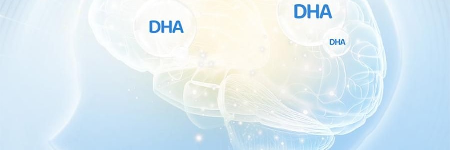 小鹿藍藍 量販裝海洋鱈魚腸 兒童零食 10g×40根