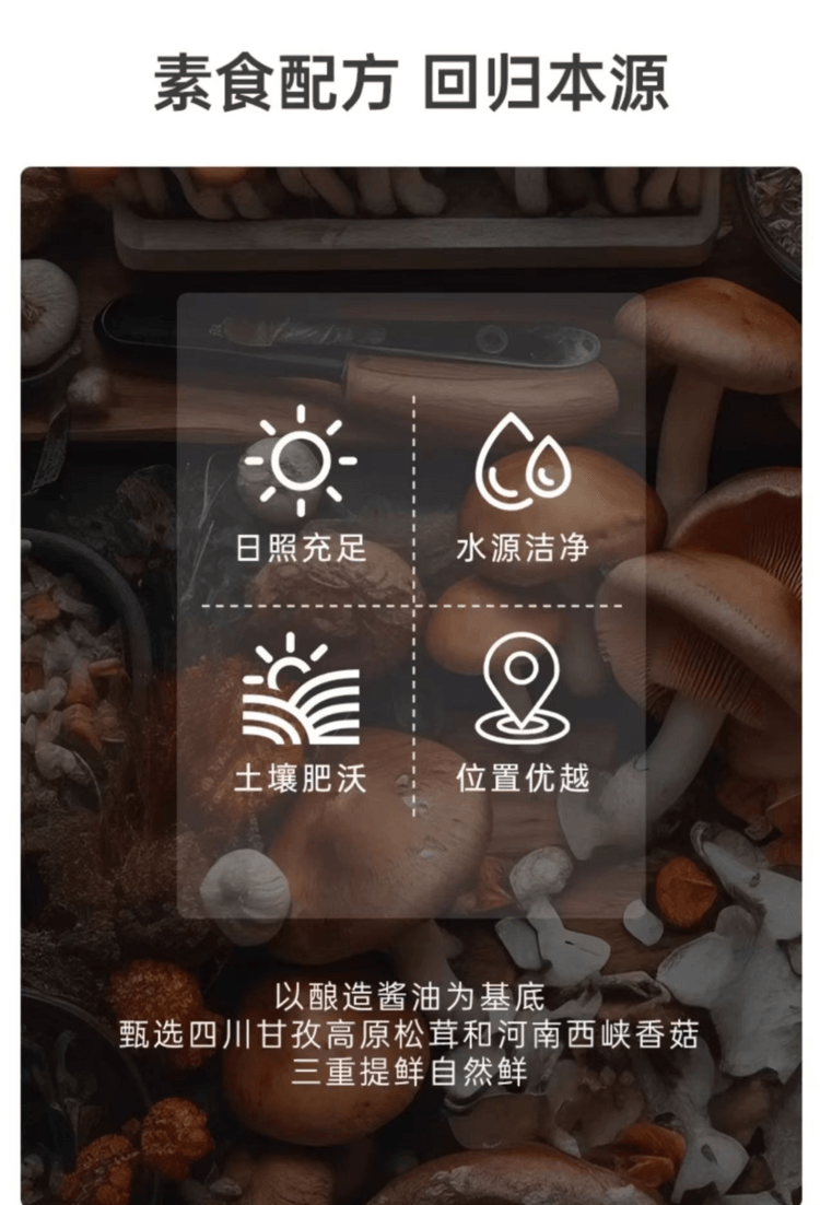 Mushrooms Vegetable Oyster Sause 288g