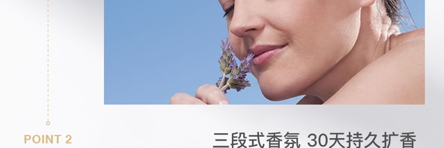 日本LAUNDRIN' 汽车冷气口芳香除臭剂 经典花香 1件入