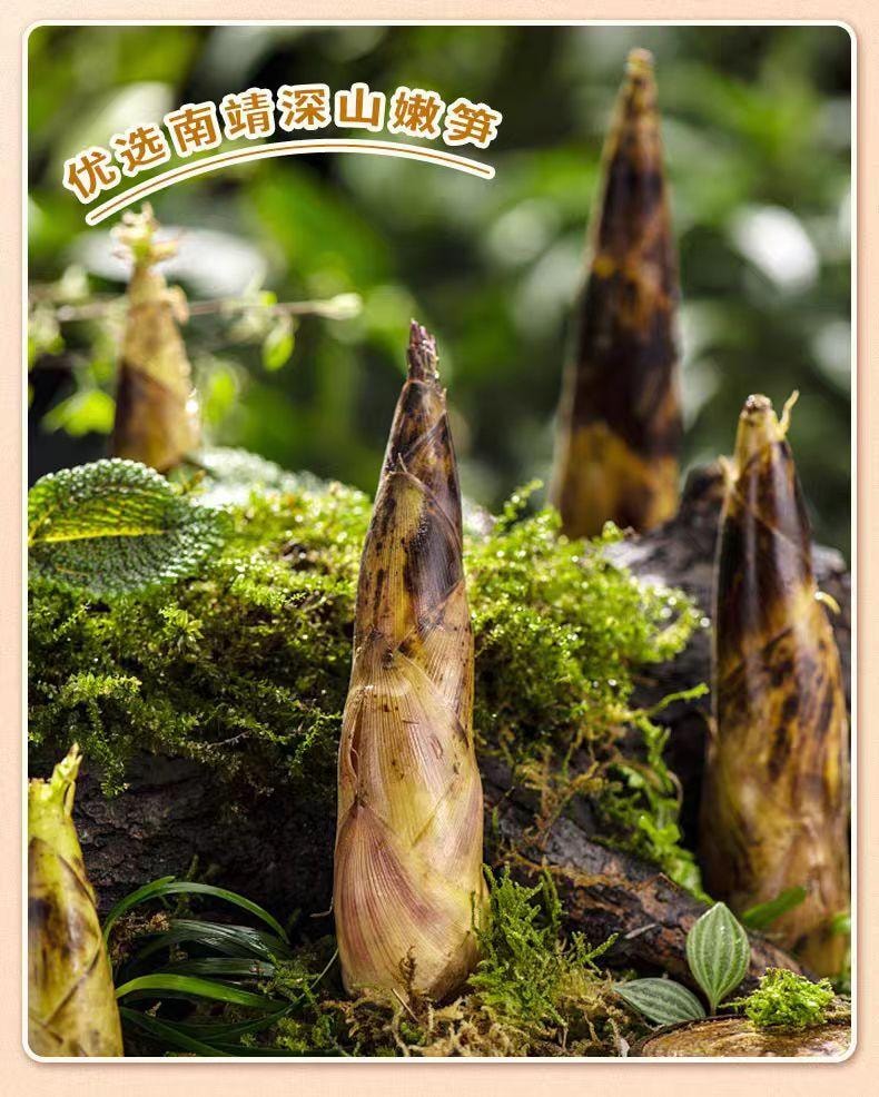 【中國直郵】 寶食 海帶筍絲70g*10包