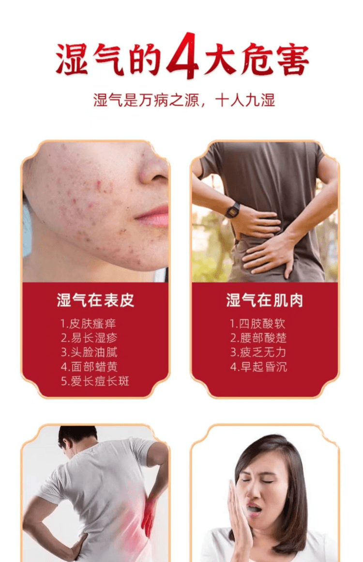 Shenling Baizhu Powder 10 Bags