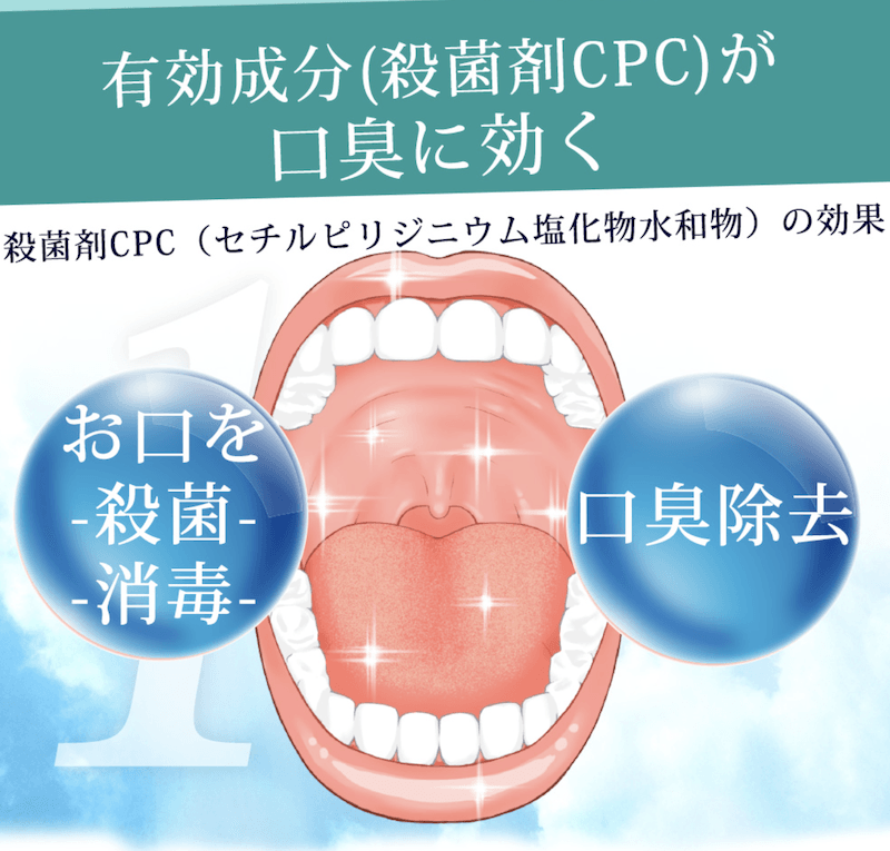 【日本直邮】日本药用lubren口臭舌苔异味去除 夜用款 晨起口气清新含片 24粒