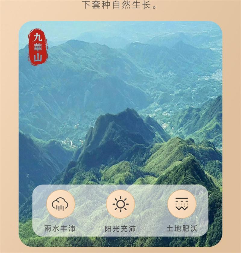 【中国直邮】 合为养 黄精九华山九蒸九晒黄精果即食泡水非中药材 九华山黄精250g*1罐