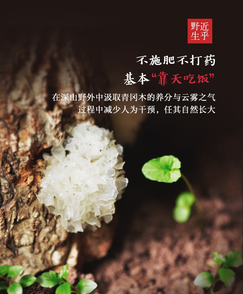 Tremella Yiner 80g