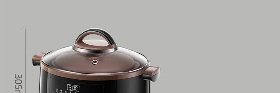 BEAR小熊 紫砂电炖盅套装 燕窝养生隔水炖盅全自动煲汤 大容量家用砂锅 4.5L大内胆 DDZ-B45Z1