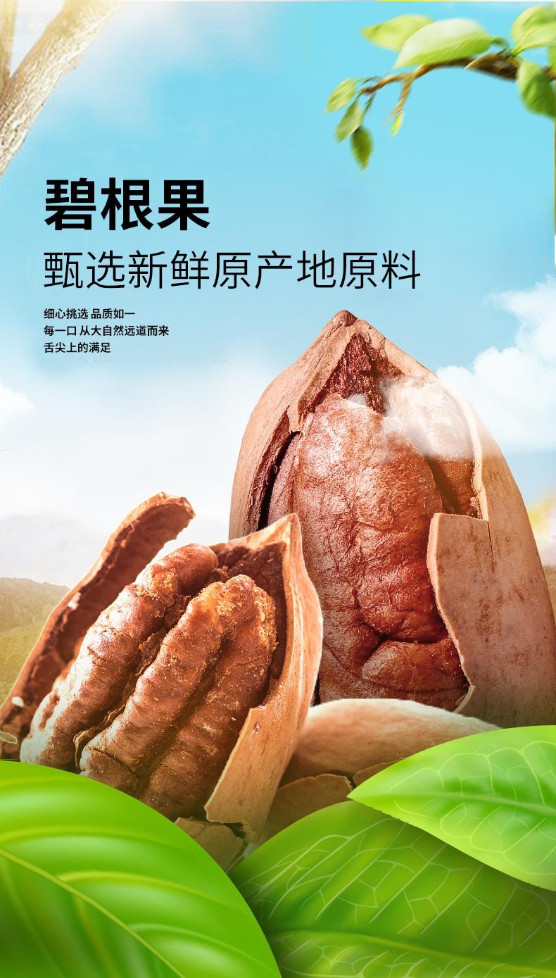 鮮記 碧根果348g