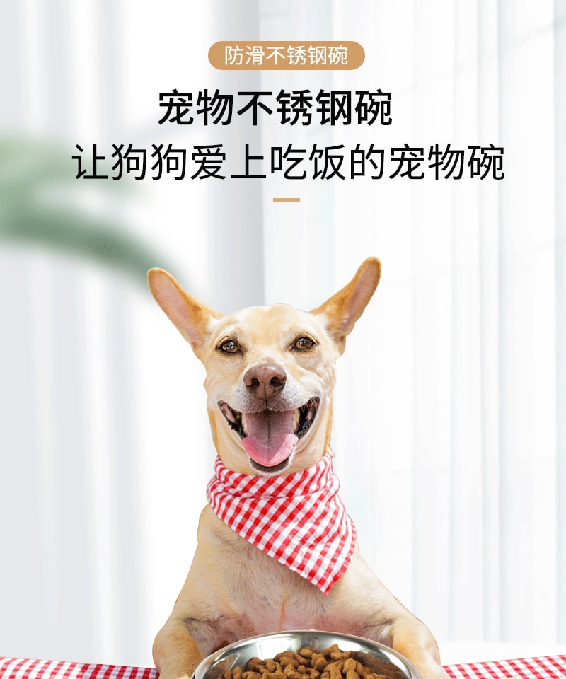 【中國直郵】尾大的喵 寵物不銹鋼碗 3號 顏色隨機 寵物用品