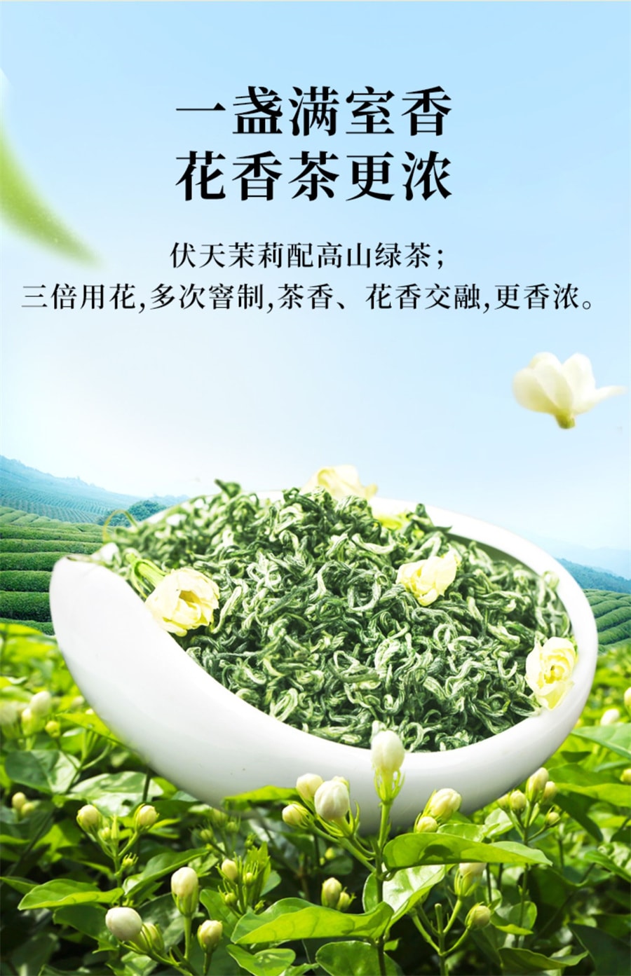 【中国直邮】一杯香   2023新茶茉莉花茶横县花草茶绿茶茶叶  250g/罐