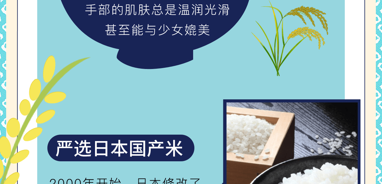 ISHIZAWA LABS 石泽研究所||毛孔抚子日本大米面膜||10片
