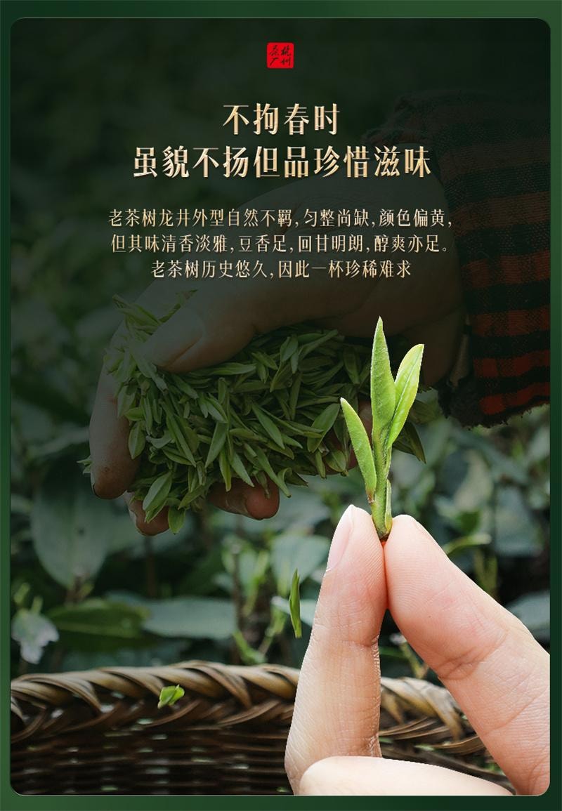【中國直郵】西湖牌 2025新茶上市西湖龍井 明前特級老茶樹綠茶茶葉散裝春茶 200克