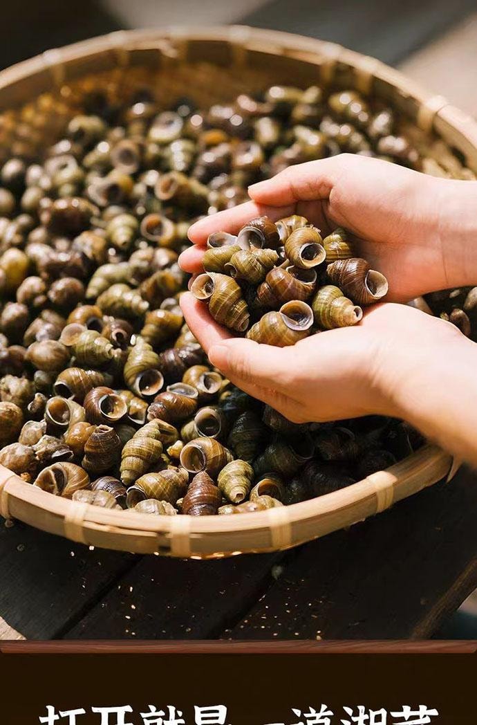 【中国直邮】 三知情 剁椒螺蛳肉 湖南下饭菜 下饭酱 280g*1瓶