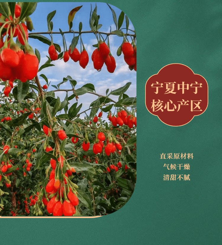 常椿 供货三甲医院 比采芝林大颗| 宁夏中宁枸杞 250g 不熏硫 供货永旺友谊百货等高端超市 单克价便宜 滋补肝肾益精明目