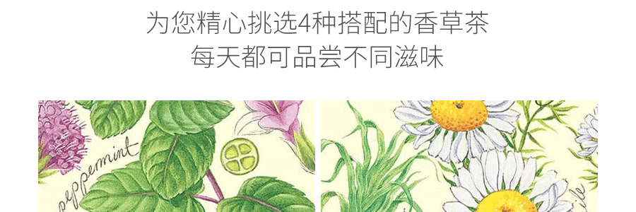 英国AHMADTEA亚曼 精选混合水果香草茶 20ct