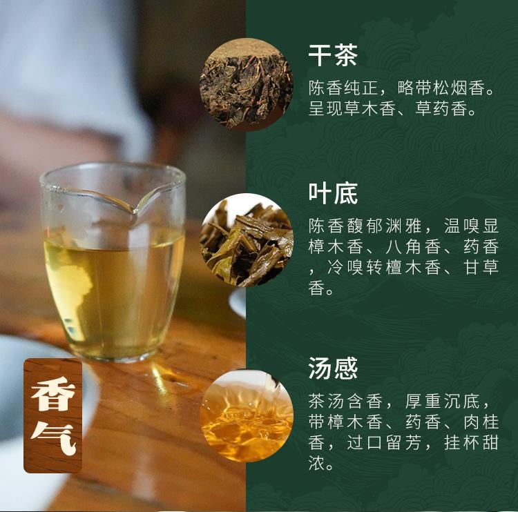 【美國現貨秒發】小師姐評茶 千兩茶餅高馬蒼卷 2019年安化黑茶茶葉 皇家貢茶 680克