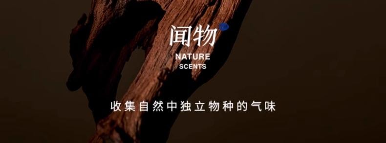 [Jasmine] Log fragrance hanging, diffused fragrance aromatherapy stone pendant, wardrobe aromatherapy car fragrance hanging, free aromatherapy liquid