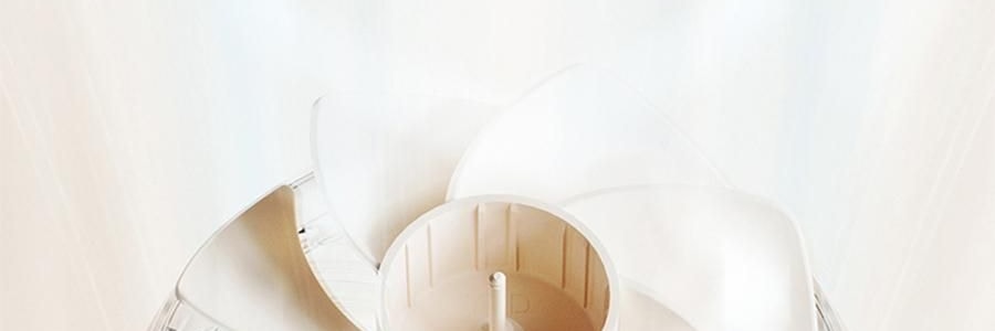 向物SOTHING 桌面循环扇 小风扇 夏日清凉小物 漩凉 续航版