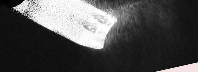 INFACE 黑頭鏟 超音波鏟皮機 刮黑頭營養導入美容儀 白色