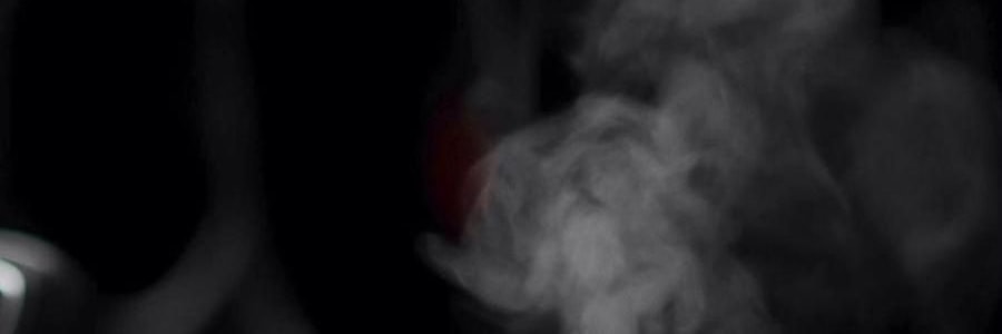 THE BEAST野獸派 車載香薰 香氛禮盒 熊貓噗噗打哈欠 禮盒裝