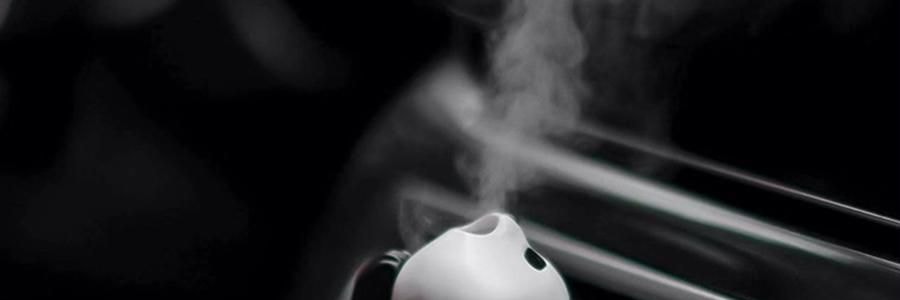 THE BEAST野獸派 車載香薰 香氛禮盒 熊貓噗噗打哈欠 禮盒裝