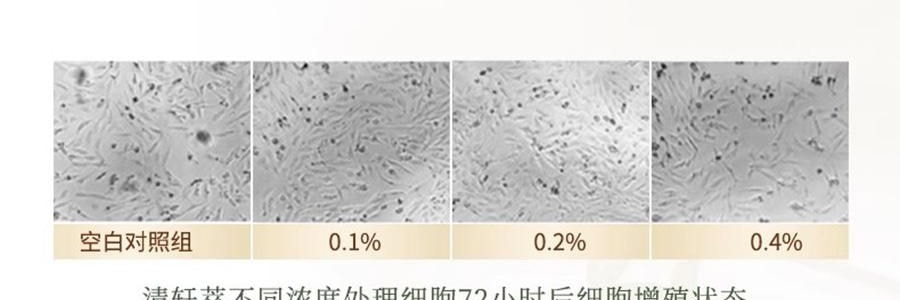 林清軒油膜套組*1組