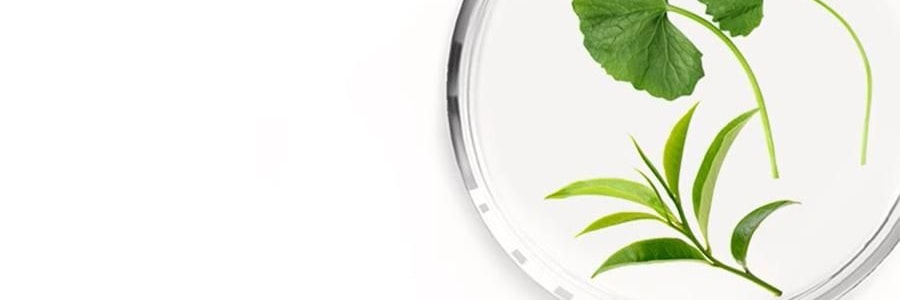 林清軒油膜套組*1組