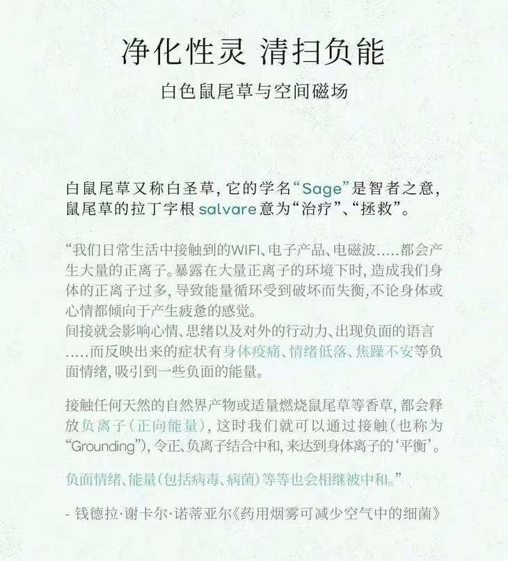 Purifying Incense Sticks Oriental Herbal Scent 21cm*30 Pieces