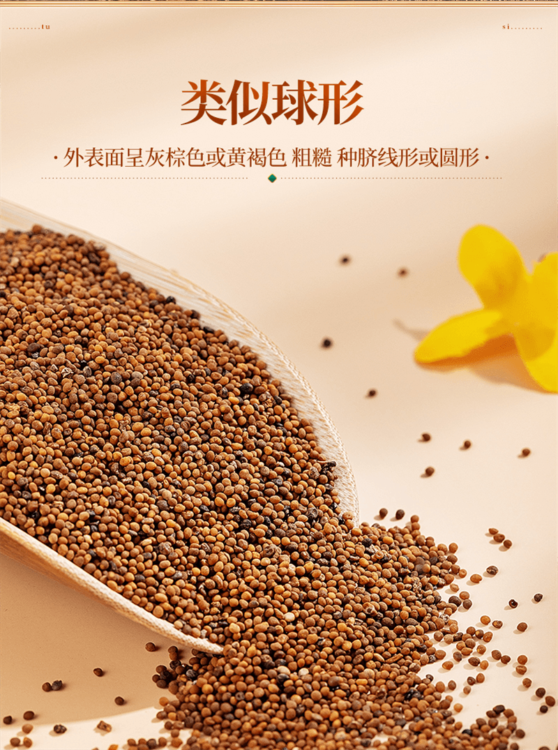 【中國直郵】 奧祥堂 菟絲子250g/盒 中藥材茶袋泡茶正品茶包
