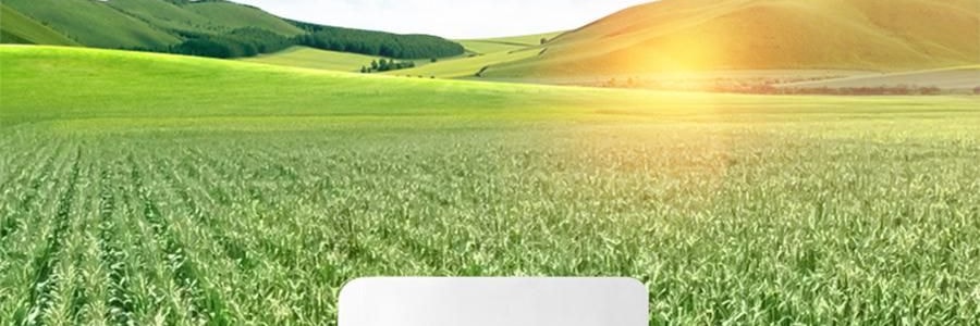 三胖蛋 甜糯玉米 真空锁鲜苞米 1根 228g【加热即食】【低卡粗粮代餐】【内蒙古特产】【亚米独家】