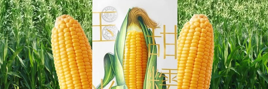 三胖蛋 甜糯玉米 真空锁鲜苞米 1根 228g【加热即食】【低卡粗粮代餐】【内蒙古特产】【亚米独家】