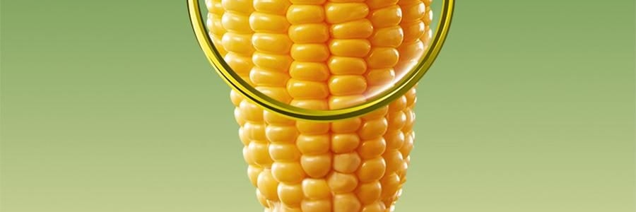 三胖蛋 甜糯玉米 真空锁鲜苞米 1根 228g【加热即食】【低卡粗粮代餐】【内蒙古特产】【亚米独家】