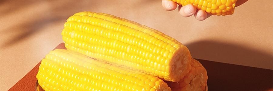 三胖蛋 甜糯玉米 真空锁鲜苞米 1根 228g【加热即食】【低卡粗粮代餐】【内蒙古特产】【亚米独家】