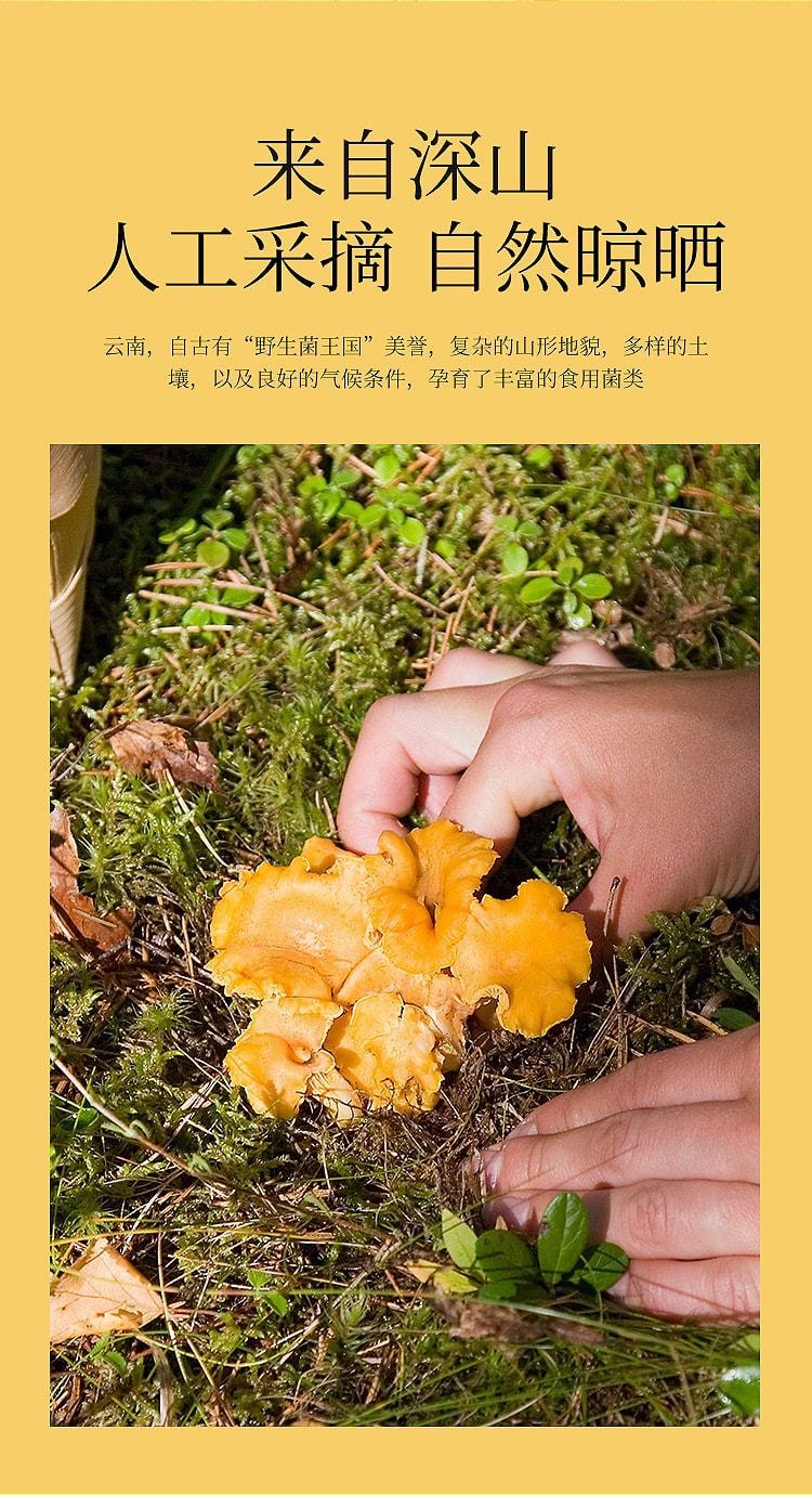 【抖音爆款】中国 福东海 七彩菌汤包 真材实料 营养丰富 汤鲜味美 60g/袋