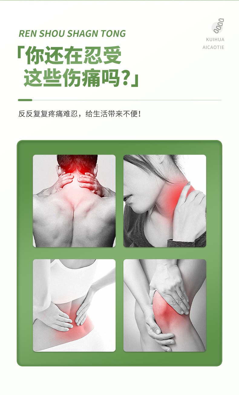 中國 葵花藥業 艾草腰椎貼 溫效腰椎貼 緩解腰椎疼痛 溫經活絡 10片裝