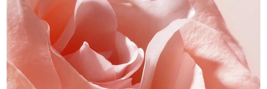 半畝花田 玫瑰花水補水保濕噴霧 鎖水降溫大粉瓶 150ml 不添加香精 花水SPA拯救卡粉 曬後修復