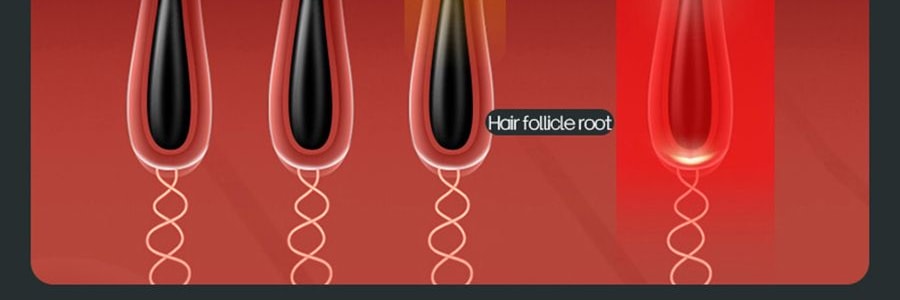 K·SKIN金米 IPL冰點除毛儀 99萬發閃光燈 全身除毛 #墨綠色 KD506A【張柏芝代言】