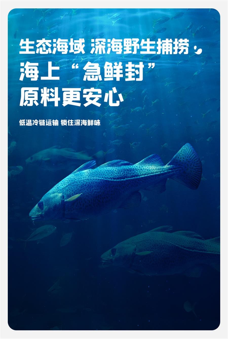 【中国直邮】 英氏 忆小口鳕鱼肠DHA藻油儿童零食无添加色素肉肠婴儿宝宝辅食  原味10g*10支