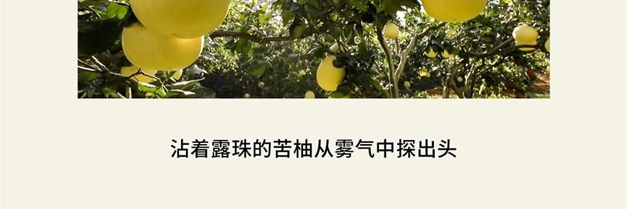 QILI其里 奔跑的动物香氛蜡烛 生日礼物室内持久小众艺术香氛礼品 涩果 160g