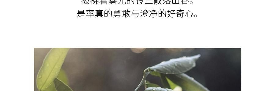 QILI其里 奔跑的动物香氛蜡烛 生日礼物室内持久小众艺术香氛礼品 涩果 160g