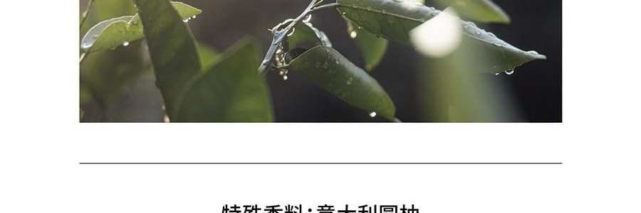 QILI其里 奔跑的动物香氛蜡烛 生日礼物室内持久小众艺术香氛礼品 涩果 160g