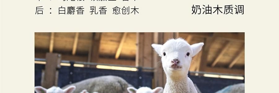 QILI其里 奔跑的动物香氛蜡烛 生日礼物室内持久小众艺术香氛礼品 涩果 160g